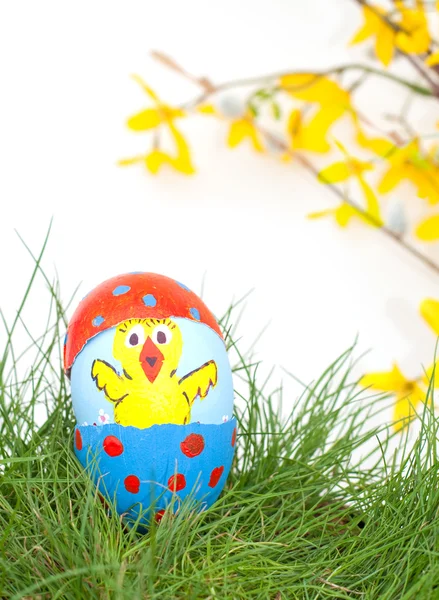 Handgeschilderde Pasen chick op een eierschaal gluren uit — Stockfoto