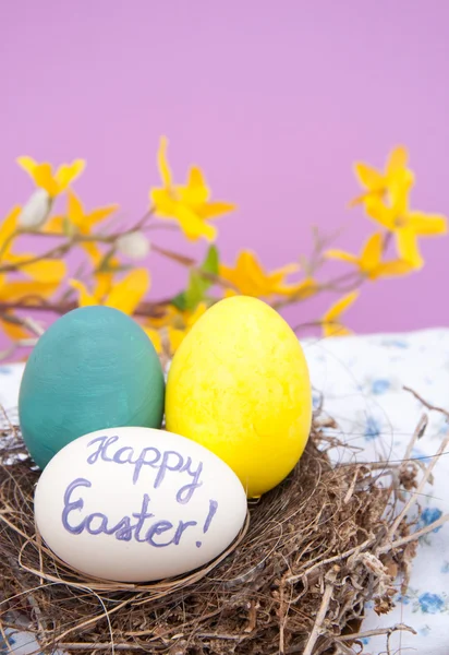 El boyalı Paskalya yumurtaları içinde bir kuş yuvası — Stok fotoğraf