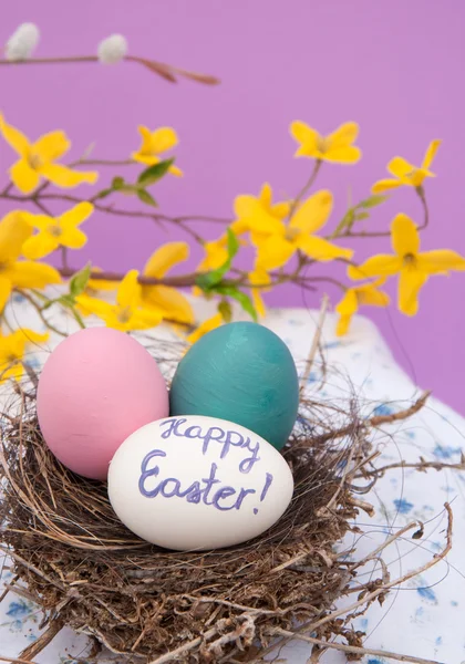 Paskalya yumurtaları gerçek kuş yuva içinde iç içe. — Stok fotoğraf