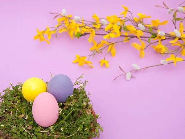 彩色手绘复活节彩蛋贝壳粉笔画嵌套在绿色春天草 — 图库照片