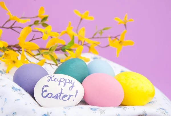 Colorful hand painted Easter eggs with yellow spring flowers — Stock Photo, Image