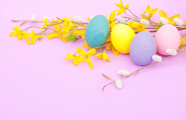 Hand painted Easter eggs with Forsythia flowers — Stock Photo, Image