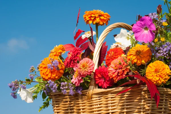 Lindas e brilhantes flores de outono em uma cesta de vime — Fotografia de Stock