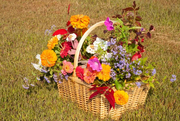 Flores e folhagem em cores brilhantes de outono em uma cesta de vime — Fotografia de Stock