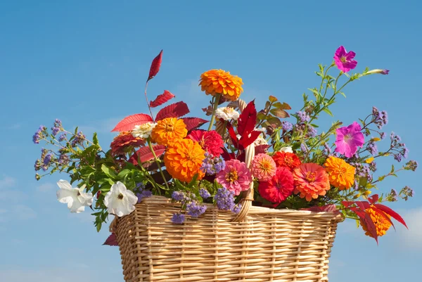 Cesta de flores brilhantemente coloridas e folhagem de outono — Fotografia de Stock