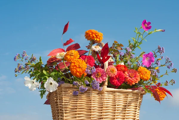 Panier de fleurs brillamment colorées et feuillage d'automne — Photo