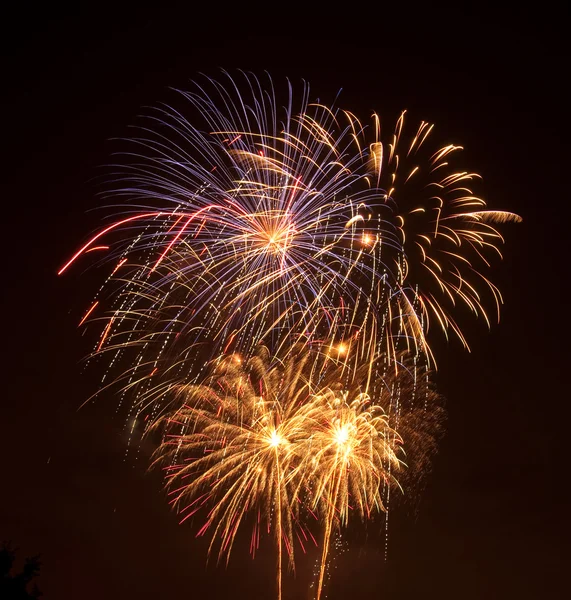 Colorful firework display on July 4th — Stock Photo, Image