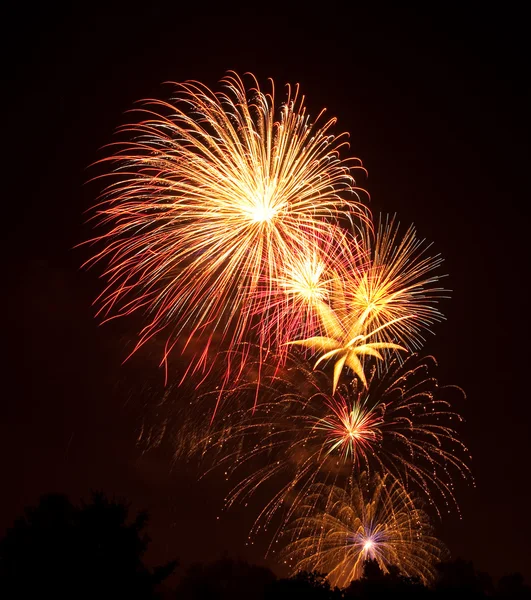 stock image Showy and colorful fireworks