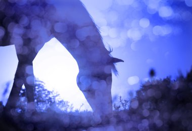 Dreamy textured image of a horse grazing against sunrise clipart