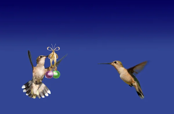 Hummingbird carrying Christmas baubles for another — Stock Photo, Image
