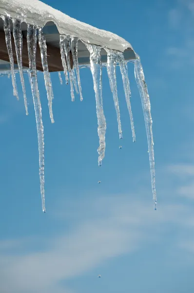 Thawing icicles with water drops falling against blue skies — Stock Photo, Image