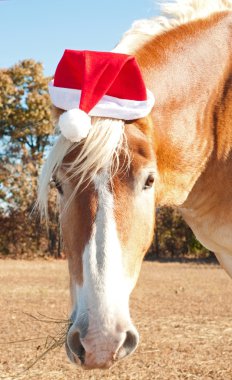 Santa's big huge helper - a beautiful blond Belgian Draft horse clipart