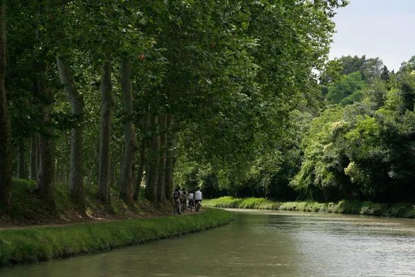 Cycliste le uzun du canal du midi — Stok fotoğraf