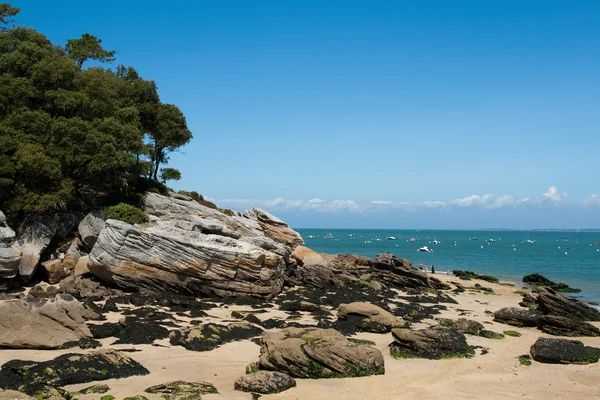 La côte rocheuse de l 'Ile de Noirmoutier (Vendélee ) — Fotografia de Stock