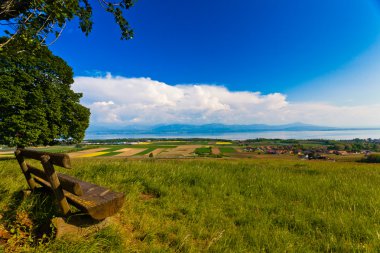 Swiss Countryside