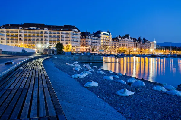 Genève, Zwitserland, stadsgezicht — Stok fotoğraf
