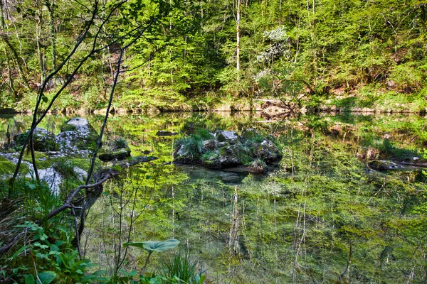 Reflexão florestal na superfície de um rio — Fotografia de Stock