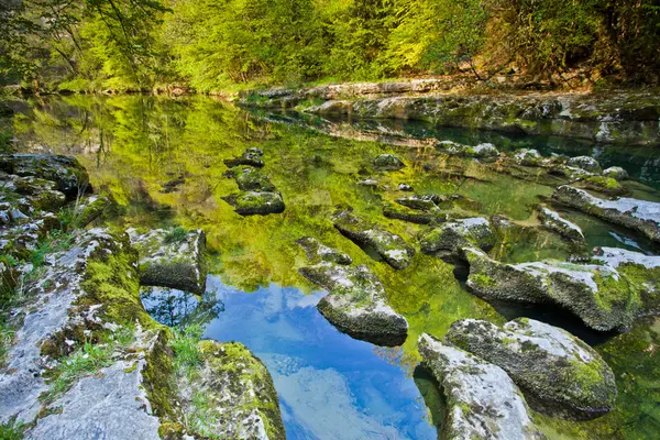 Reflexión del bosque en la superficie de un río — Foto de Stock