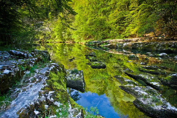 Reflexión del bosque en la superficie de un río — Foto de Stock