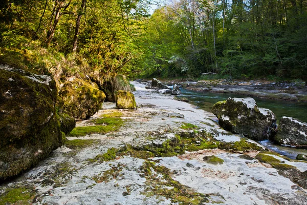 Río Valsarine que fluye entre el borde del bosque — Foto de Stock