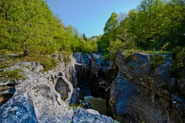 Rivier valsarine stroomt tussen de rand van het bos — Stockfoto