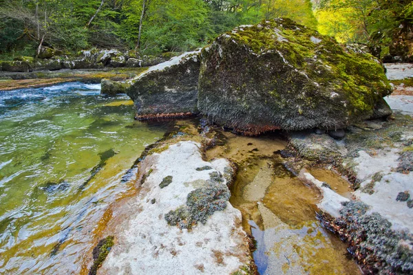 Река Вальсарин, протекающая между лесами — стоковое фото
