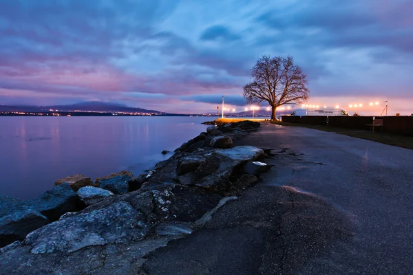 Strom podle Ženevské jezero — Stock fotografie