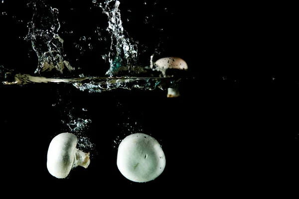 Всплеск грибной воды — стоковое фото
