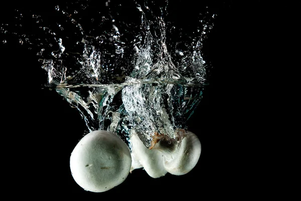 Всплеск грибной воды — стоковое фото