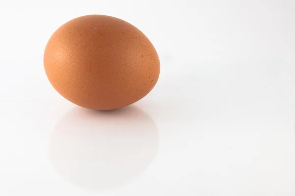 stock image Chicken Egg