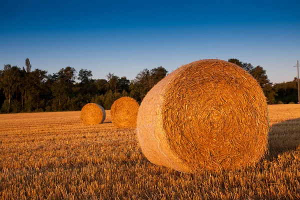 Wheat Straw Bale — Stock Photo, Image