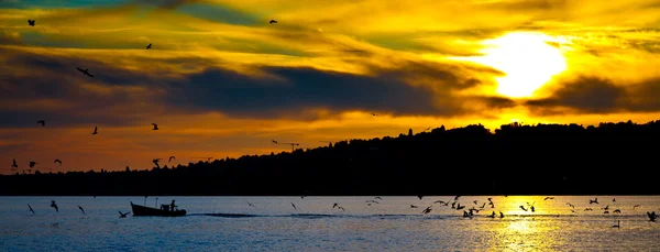 ボート、鳥、日の出 — ストック写真