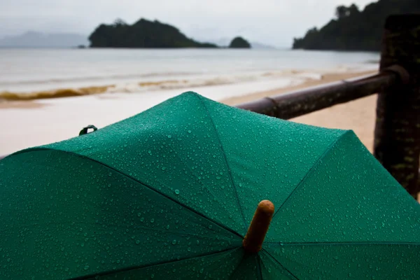 Green Umbrella — Stock Photo, Image