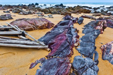 Rock and sandy beach