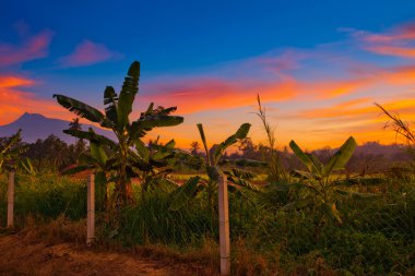 Sunset in Rural Malaysia clipart