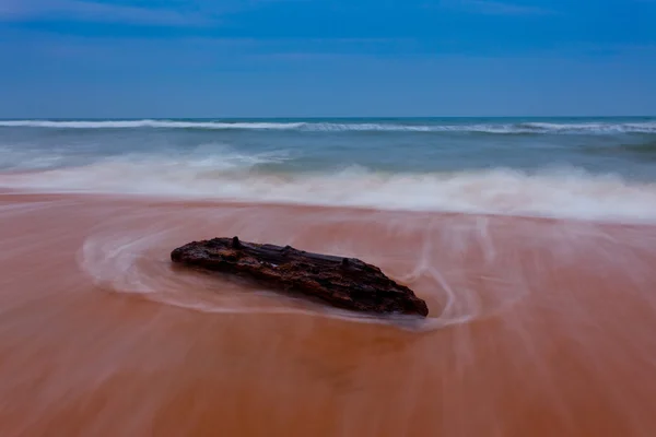 Dalgaların karaya attığı odun ve dalgalar — Stok fotoğraf