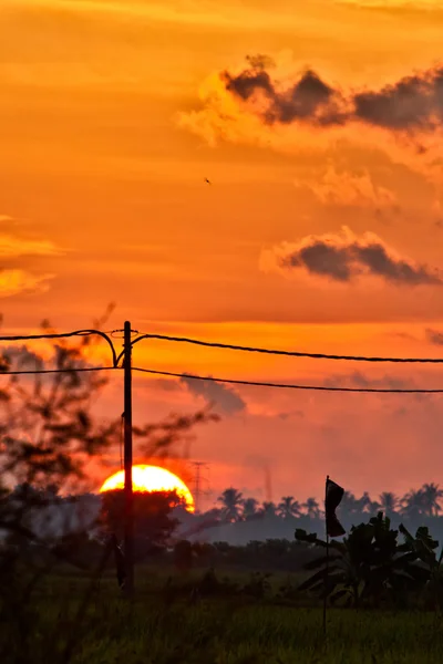 stock image Sunset in Rural Malaysia