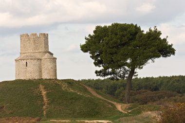 Burg Nin