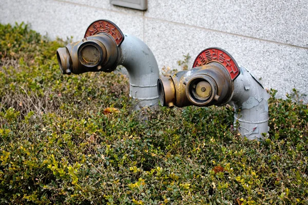 stock image Fire hydrants