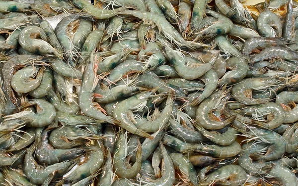 Camarões no mercado de frutos do mar — Fotografia de Stock