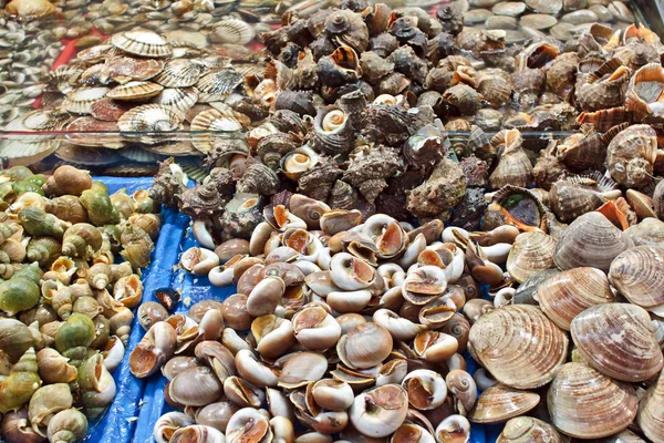 Conchas sortidas no mercado de frutos do mar — Fotografia de Stock