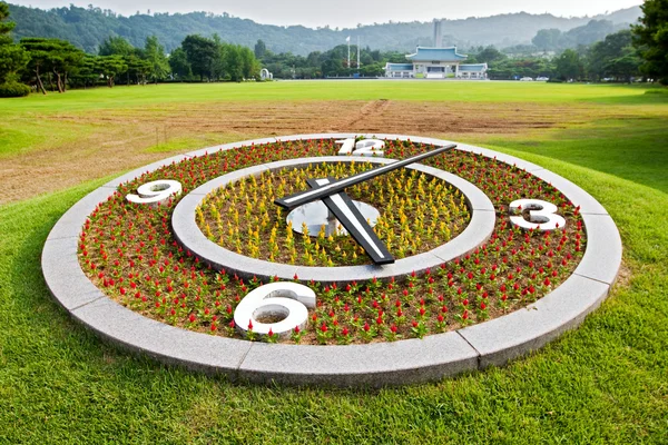 Квітковий годинник на фоні газону — стокове фото