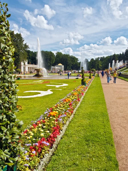 Bellissimo prato e fiori a Peterhof Foto Stock Royalty Free