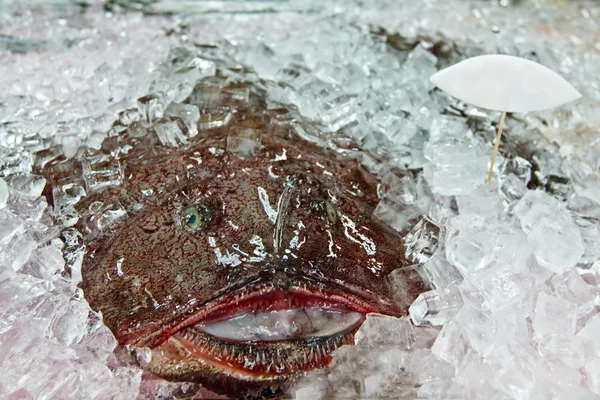 Свежий рыбак на льду — стоковое фото