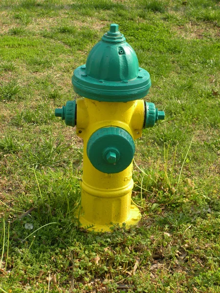 Hidrante de fuego amarillo y verde —  Fotos de Stock