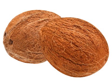 Hindistan cevizi