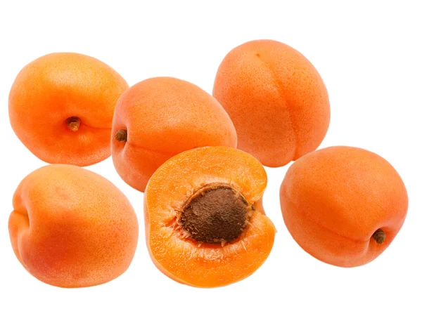 stock image Apricot