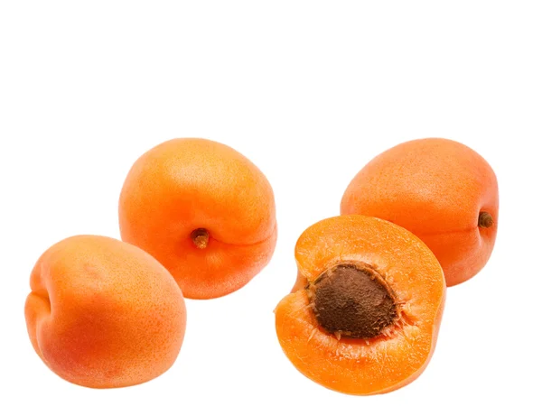 stock image Apricot