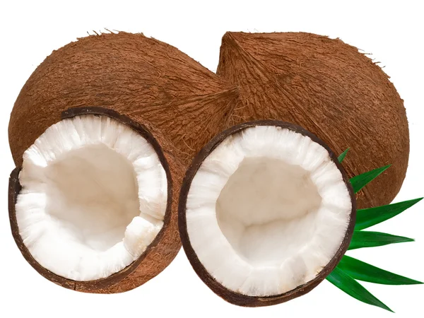 椰子 — 图库照片