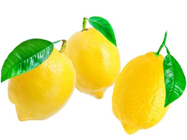 limon